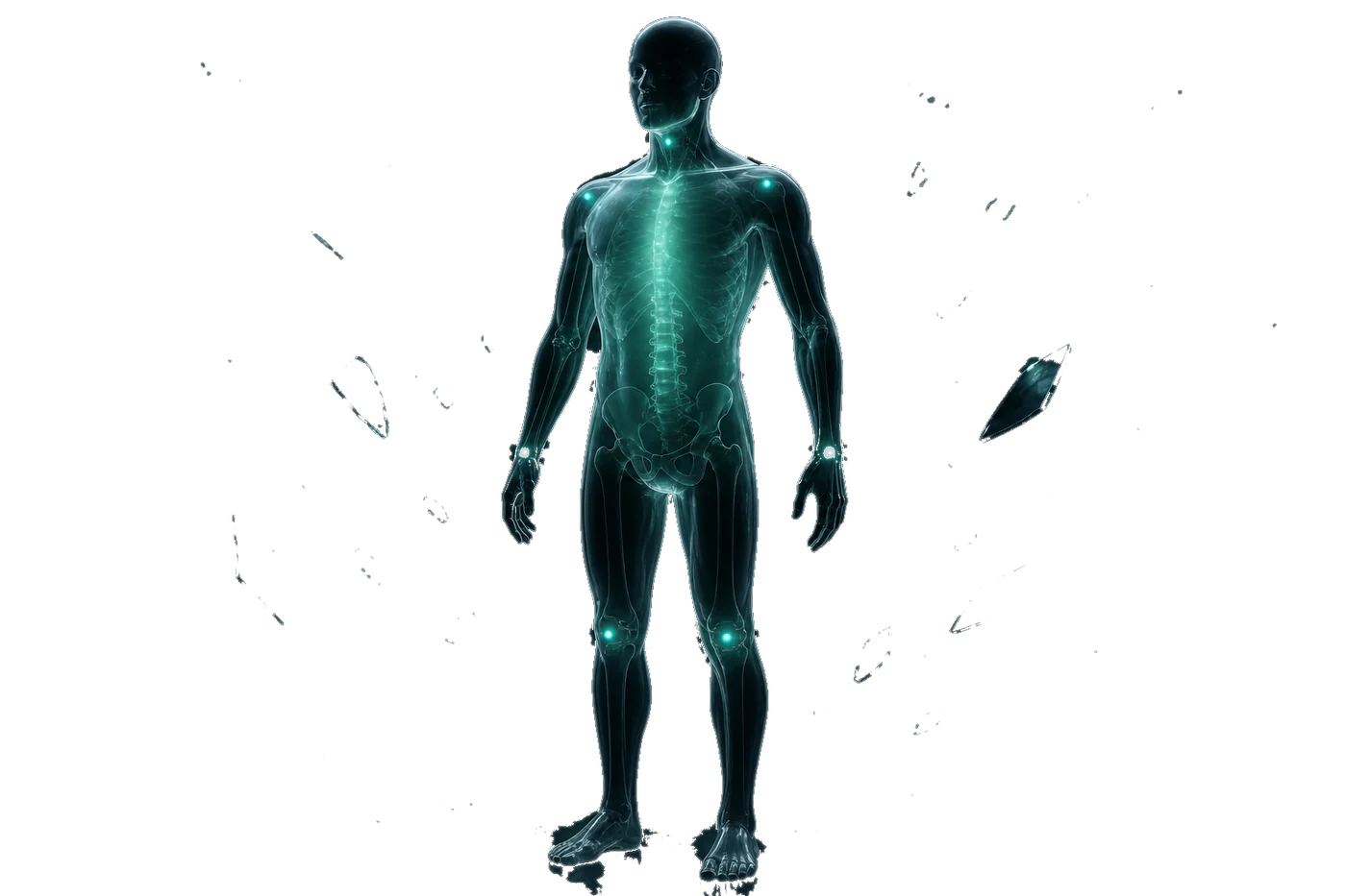 Стеклянная фигура с подсвеченными зонами тела WayWell — без устройств